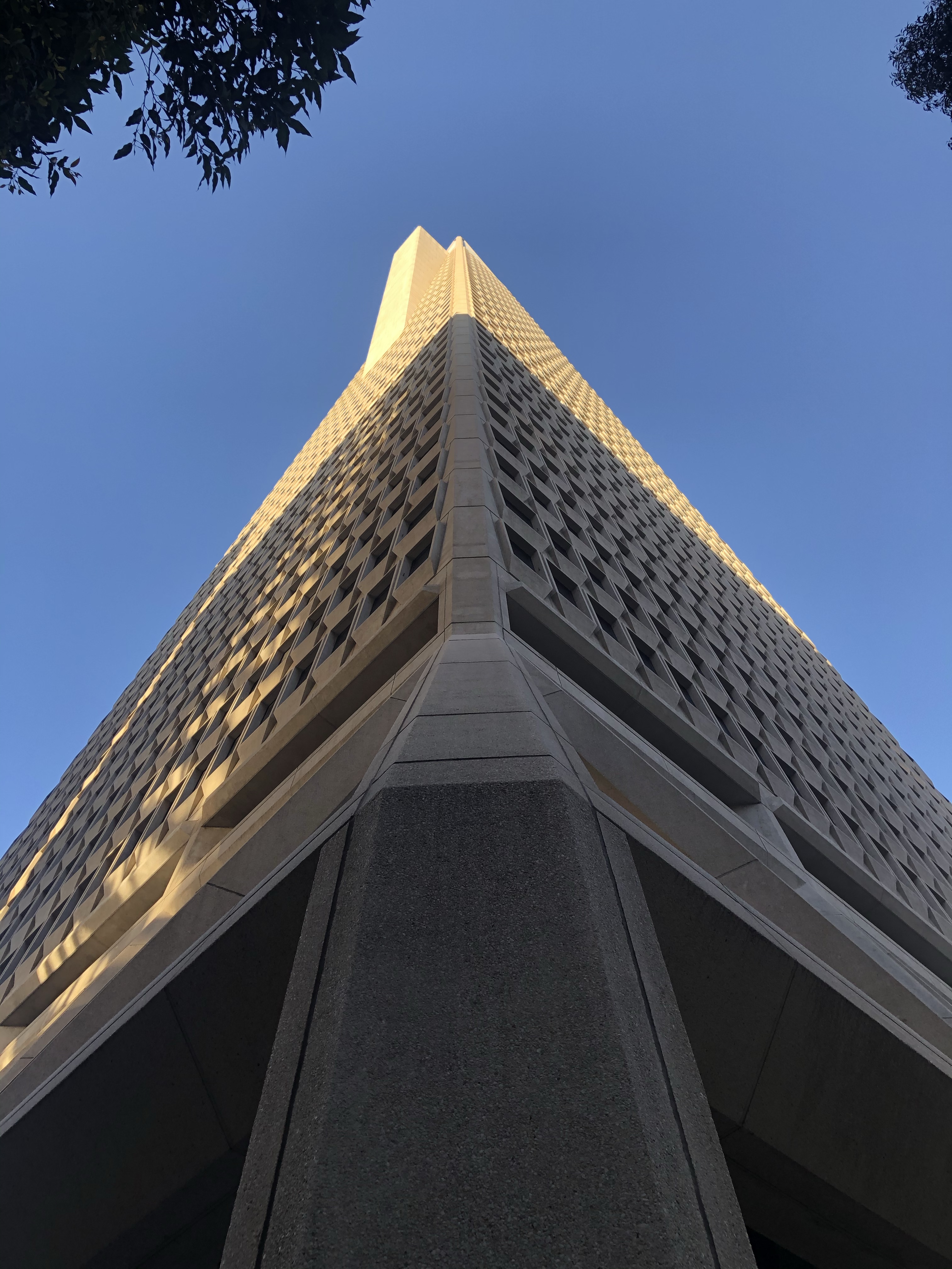 Buildings – Embrace the unknown